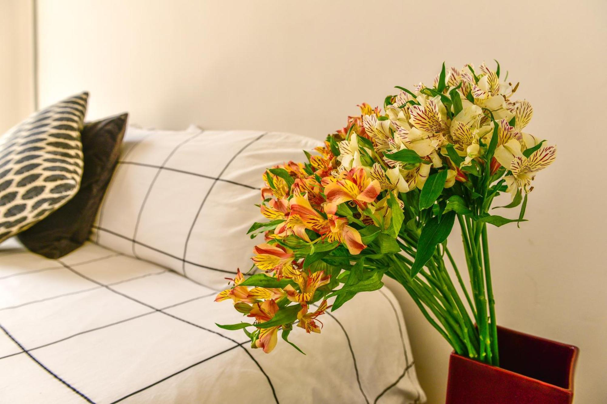 Hotel Casa Melgar Meksyk Zewnętrze zdjęcie